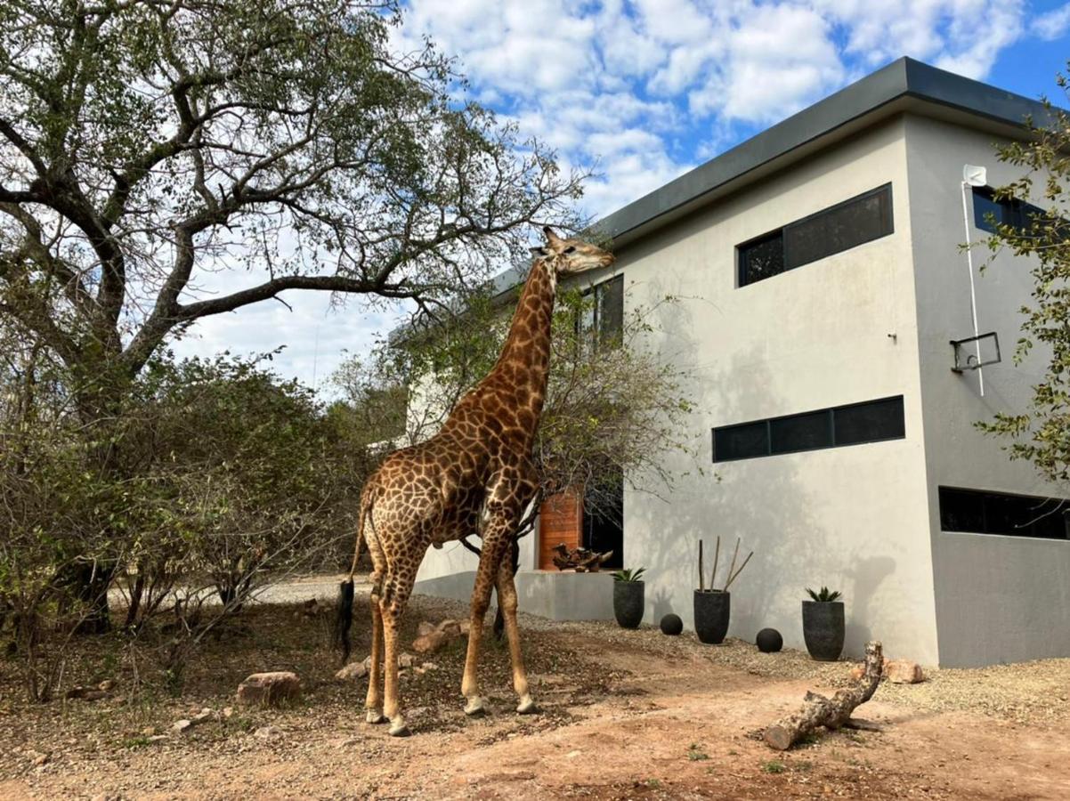 Birdsong Kruger Villa Marloth Park Exterior foto